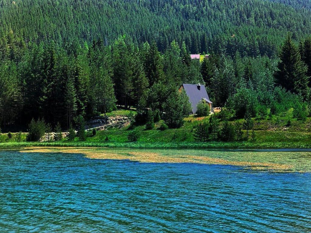 Zminica Lake House Žabljak Extérieur photo