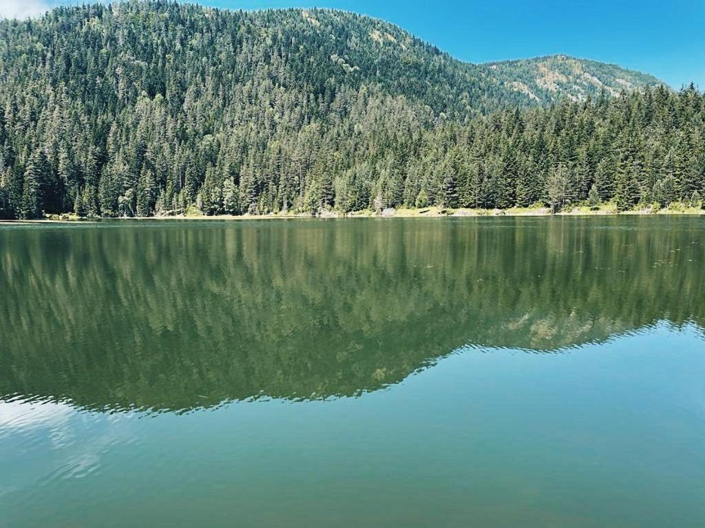 Zminica Lake House Žabljak Extérieur photo