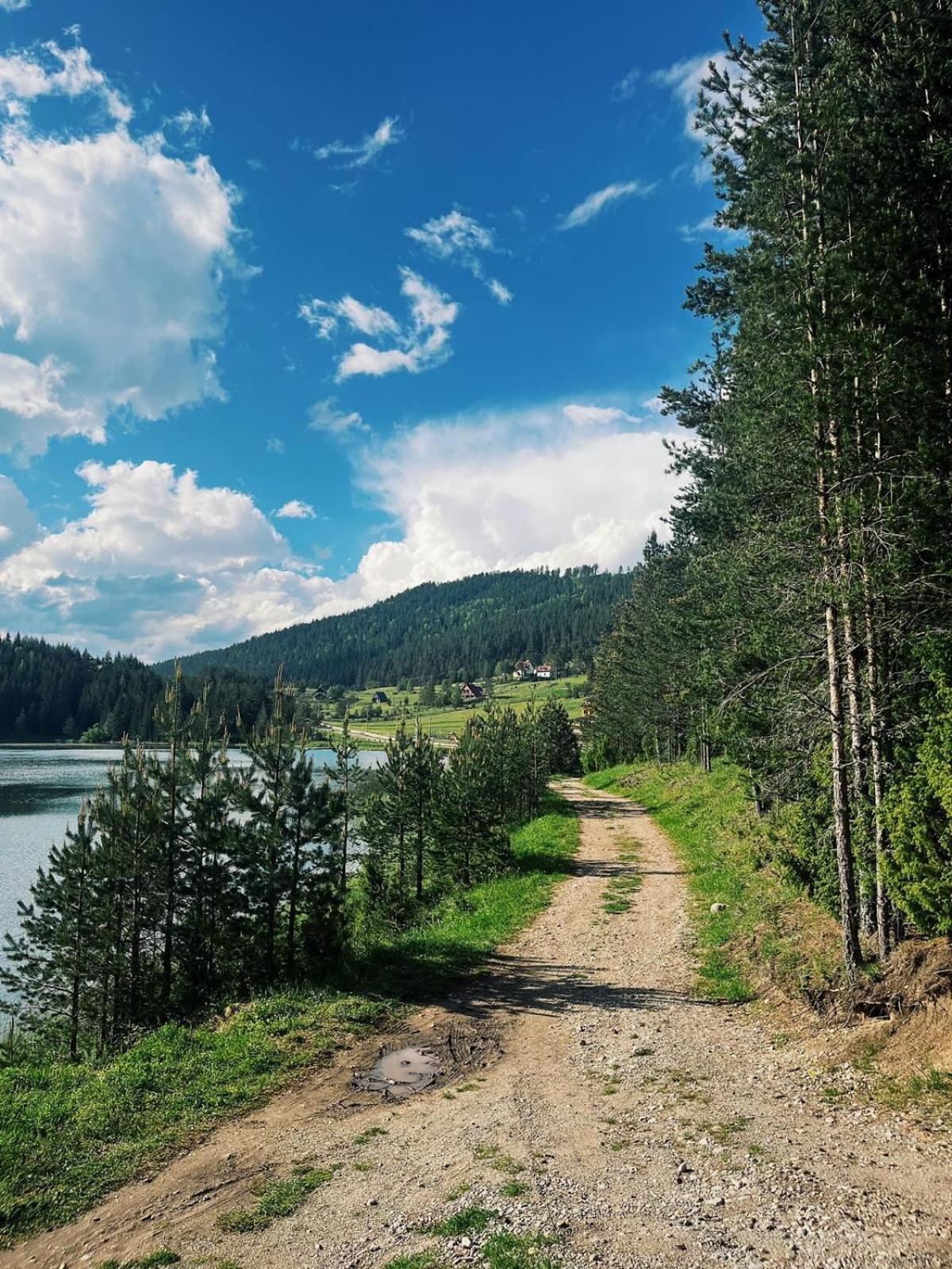 Zminica Lake House Žabljak Extérieur photo