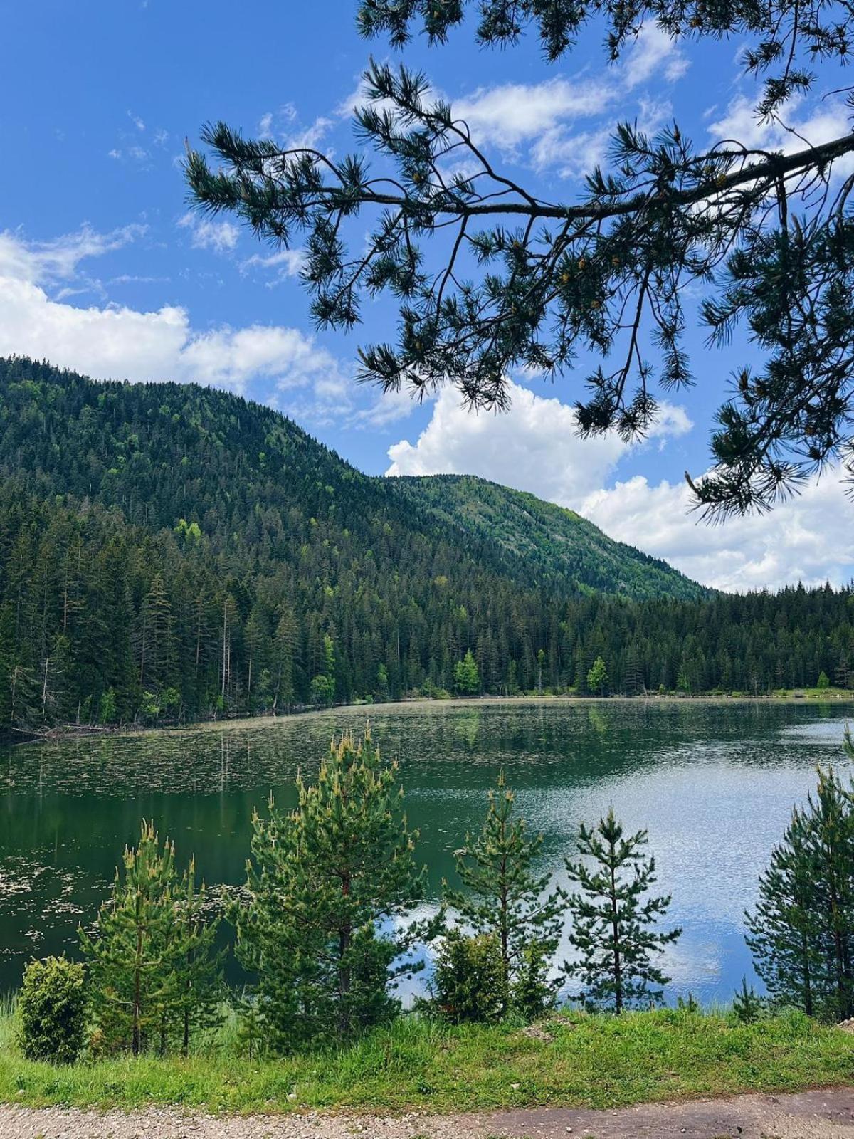 Zminica Lake House Žabljak Extérieur photo
